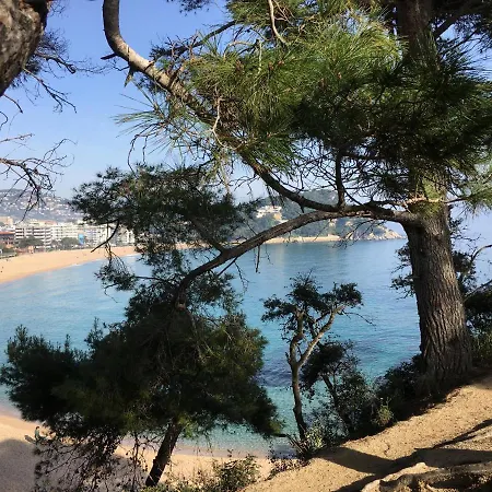 Vivalidays Elia - Fenals - Lloret de Mar